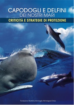 Capodogli e delfini dei nostri mari